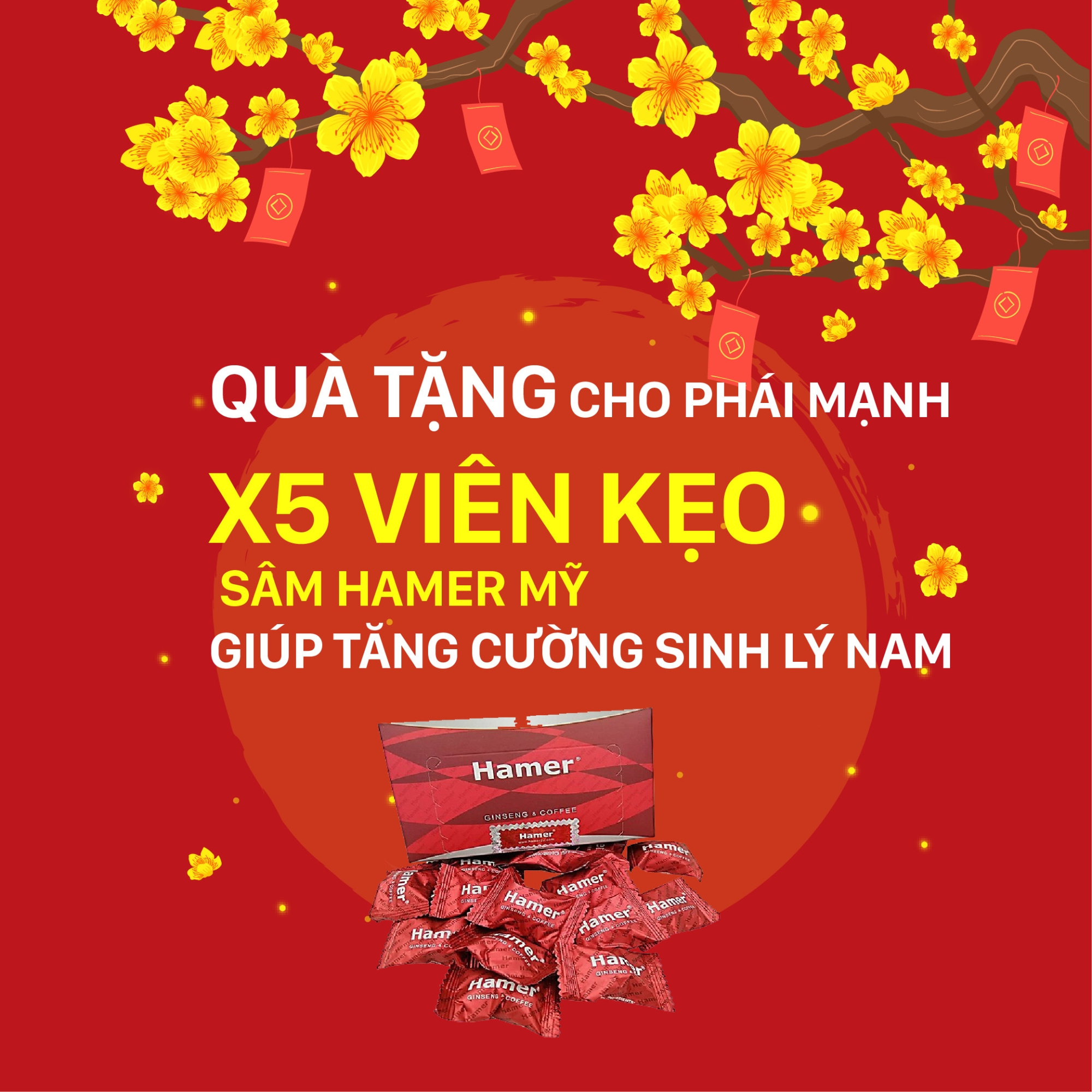 kẹo sâm hamer nhahuocminhhuong.com